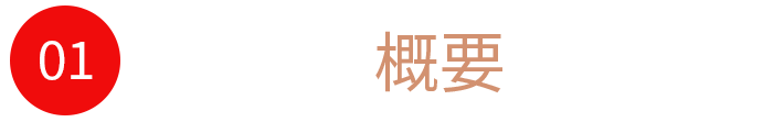 概要